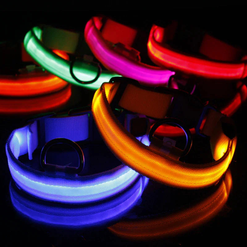 Glow Party Dog Collar | LED Light Up Glow
