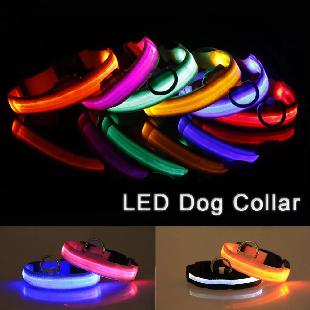 Glow Party Dog Collar | LED Light Up Glow