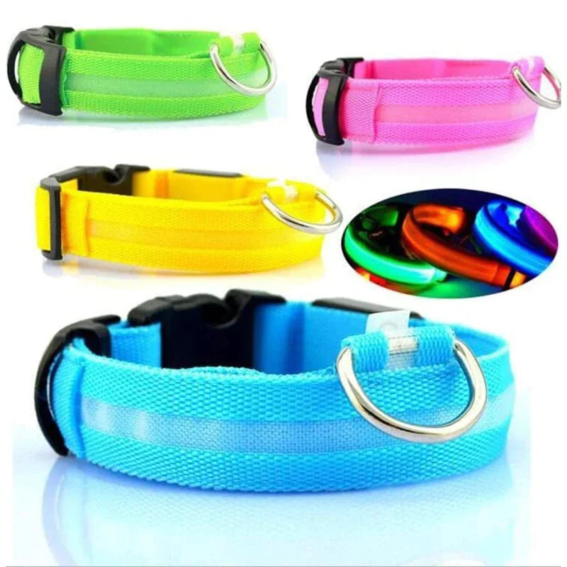 Glow Party Dog Collar | LED Light Up Glow