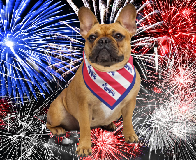 America: Stars, Stripes & Belly Rubs Bandana