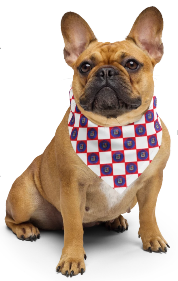 Bulldog Vibes checkered bandana