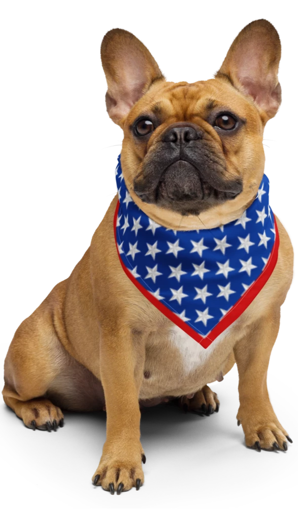 Stars Patriotic Pup Bandana