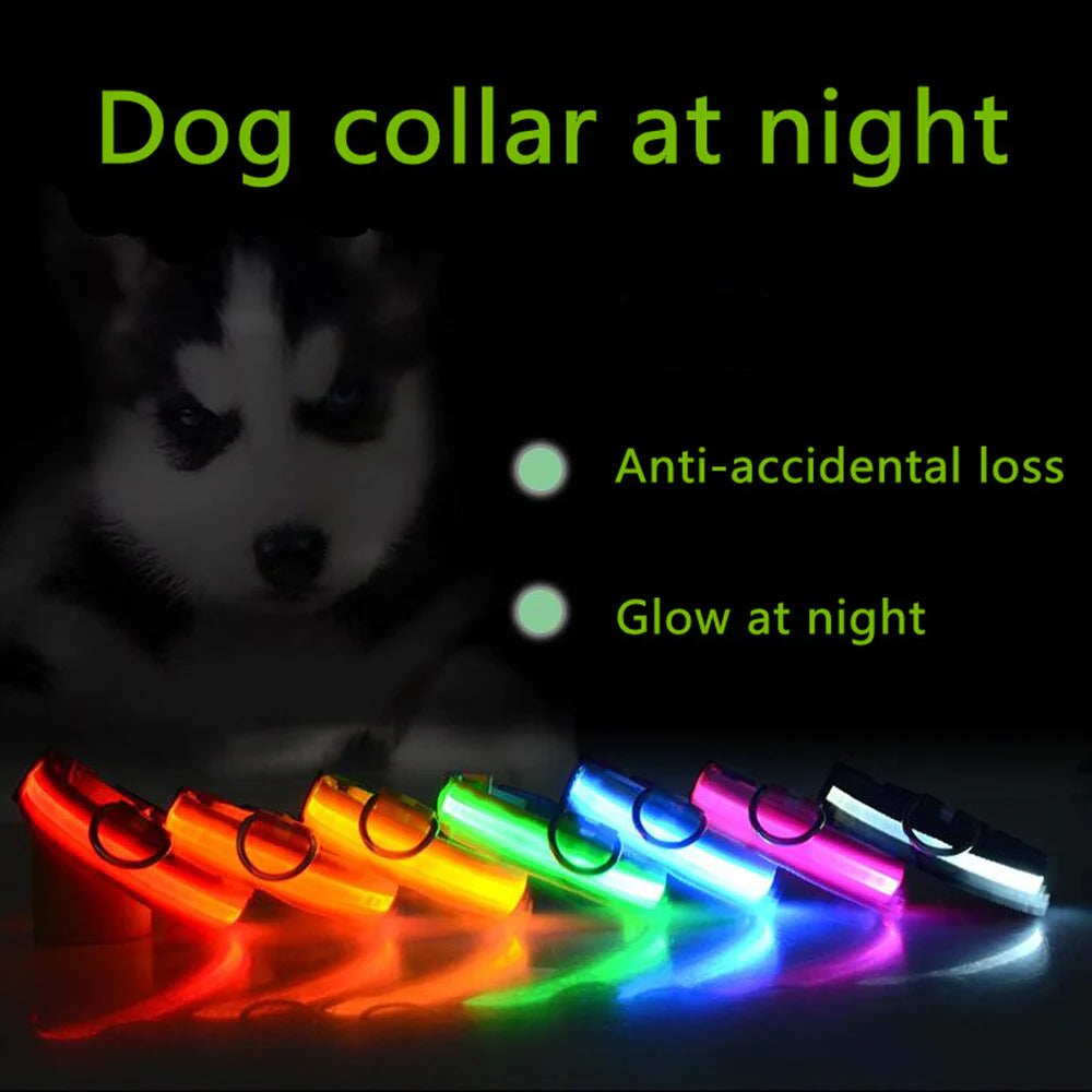 Glow Party Dog Collar | LED Light Up Glow