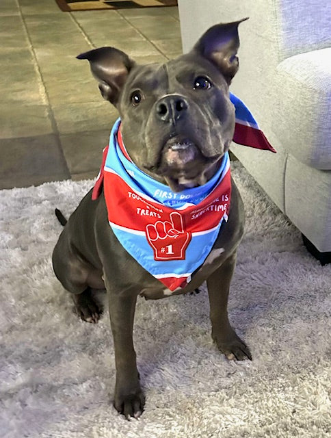 Old School. New Vibes. All Dog. Texas Tailgating Bandana