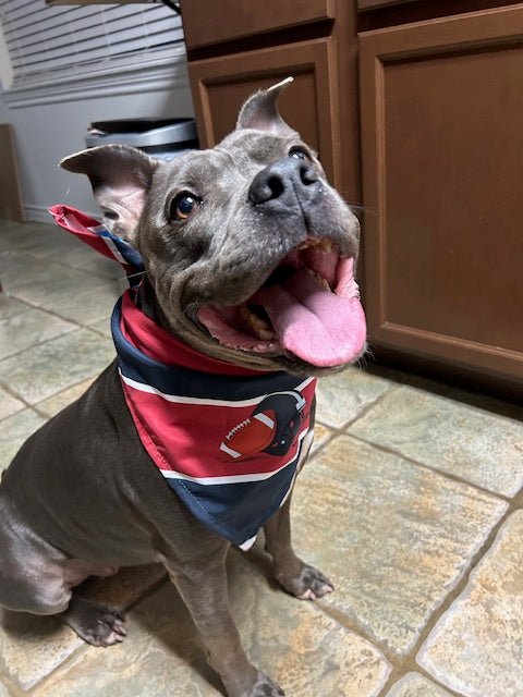 Old School. New Vibes. All Dog. Texas Tailgating Bandana