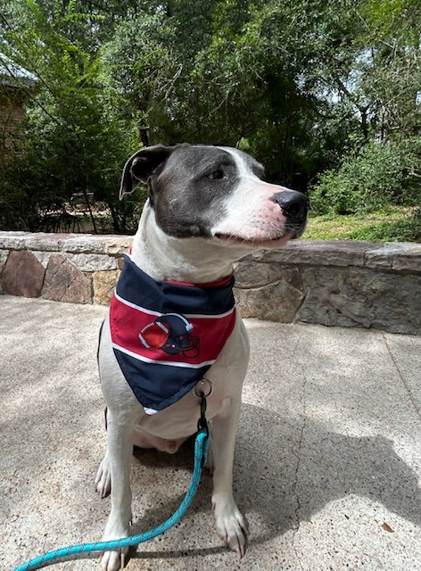 Old School. New Vibes. All Dog. Texas Tailgating Bandana