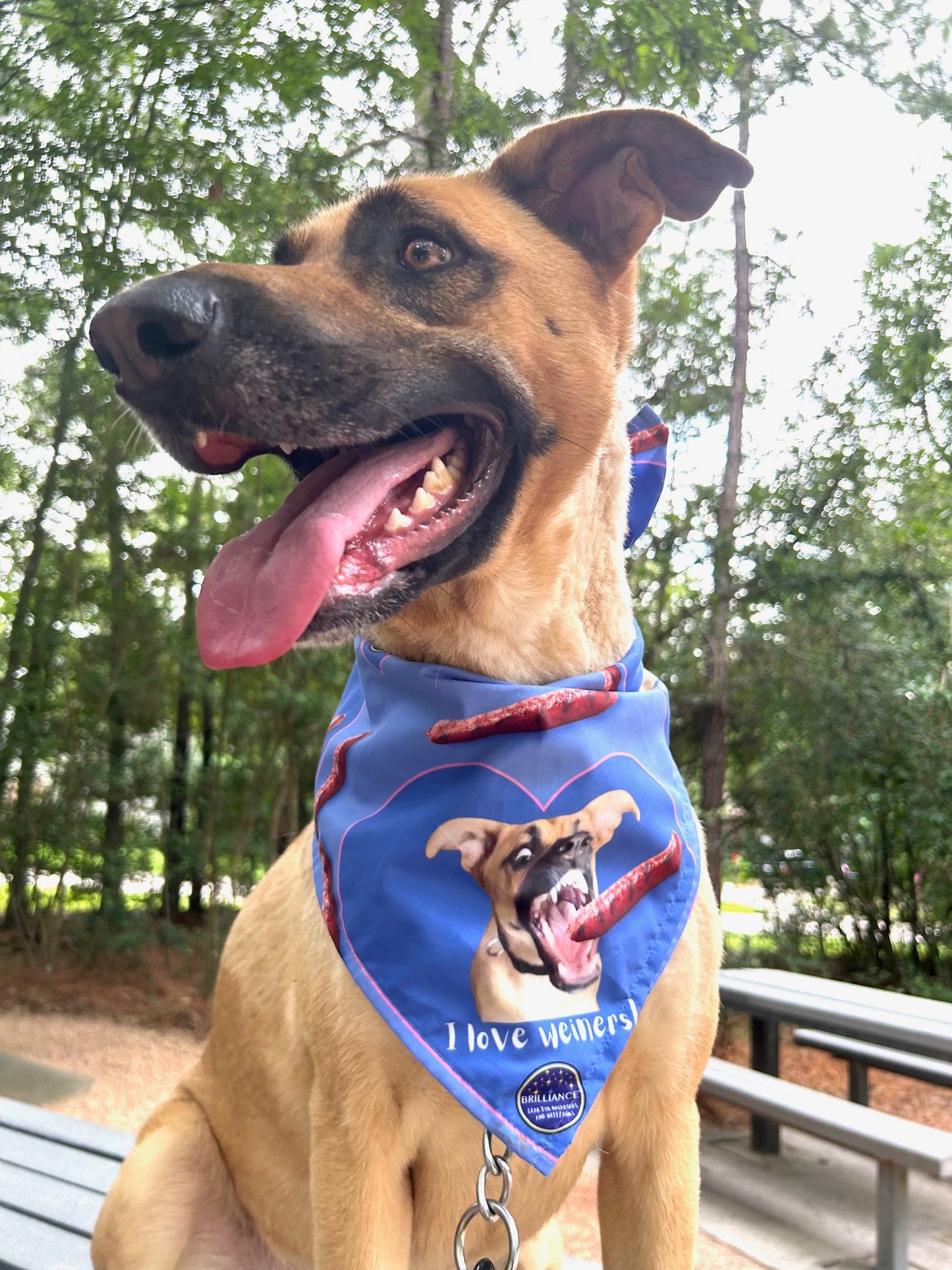 "I Love Weiners" Dog Bandana