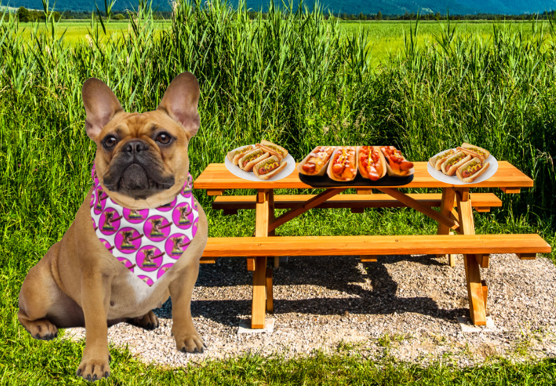 No Buns Left Behind Weiner Bandana