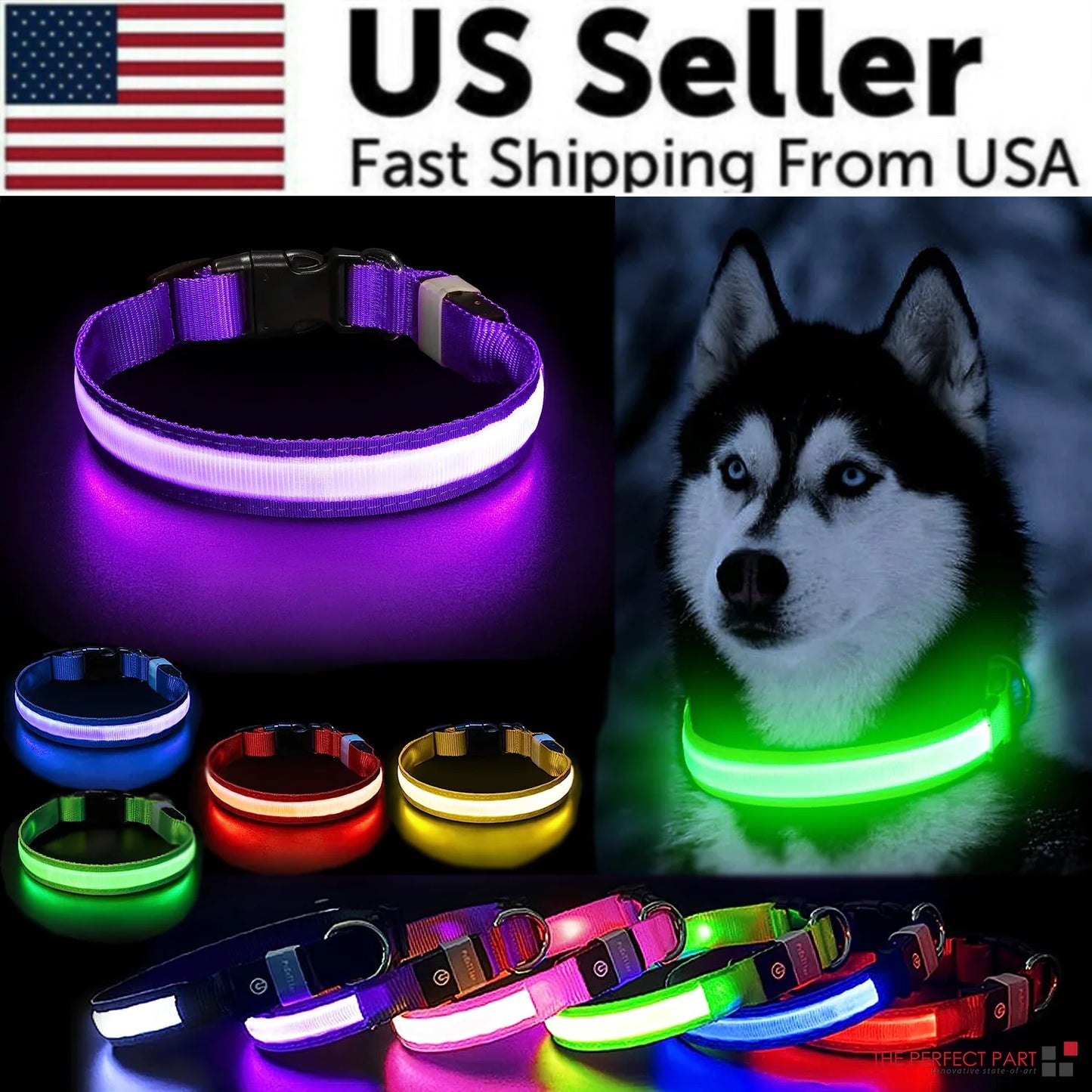 Glow Party Dog Collar | LED Light Up Glow