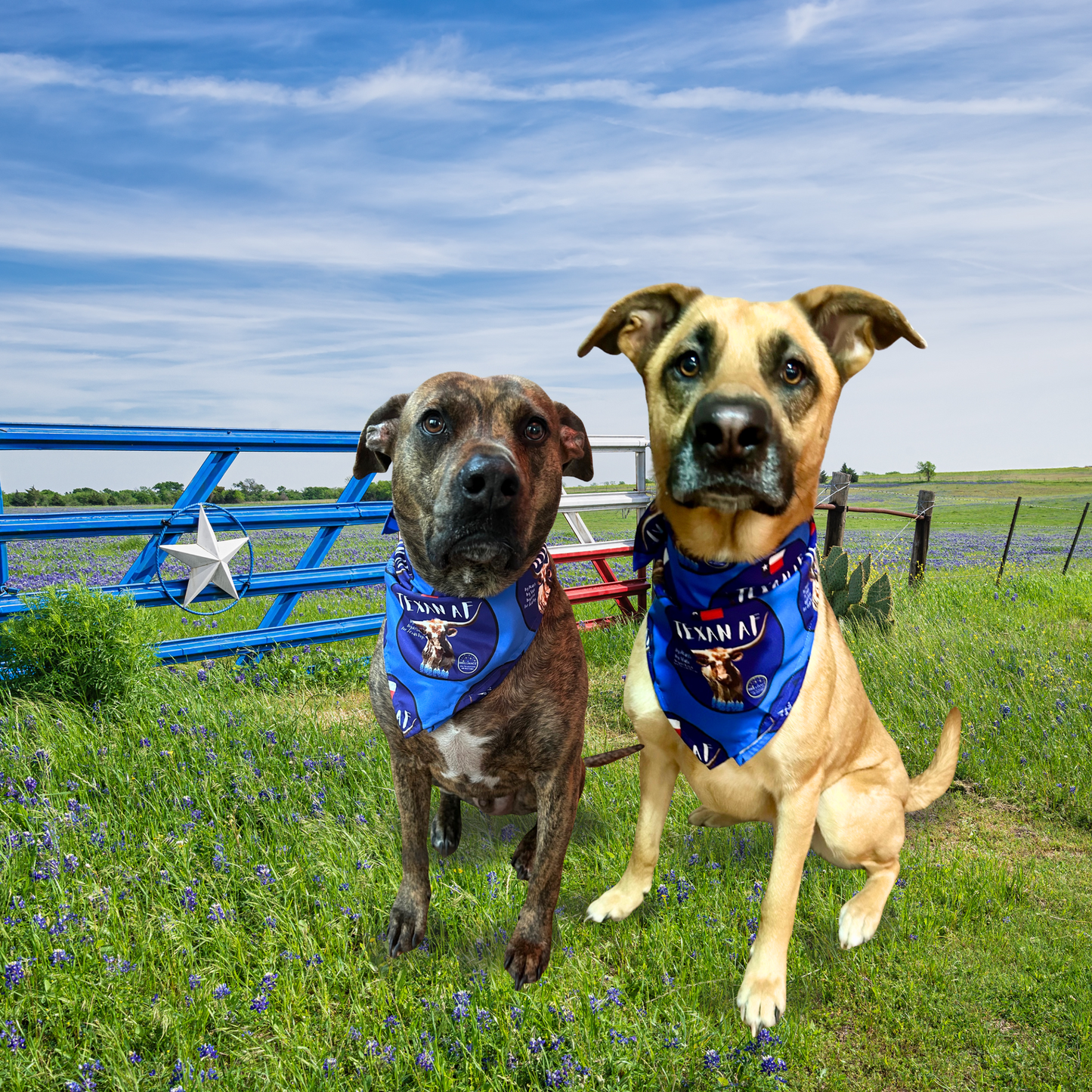 Texan AF – Longhorn and Bluebonnets Bandana