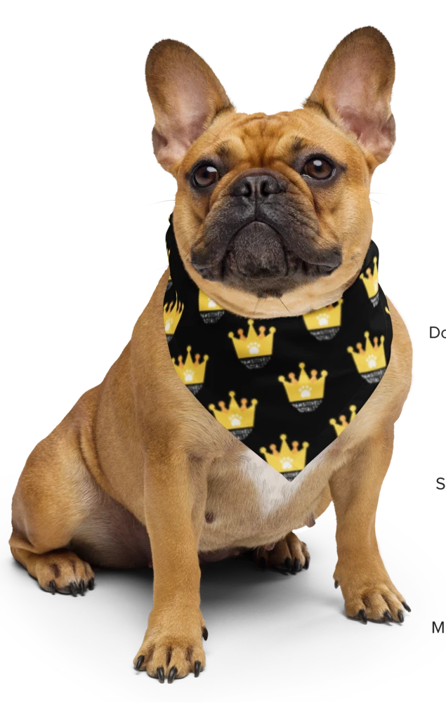 Pawsitively Royalty Black and Gold Crown Bandana