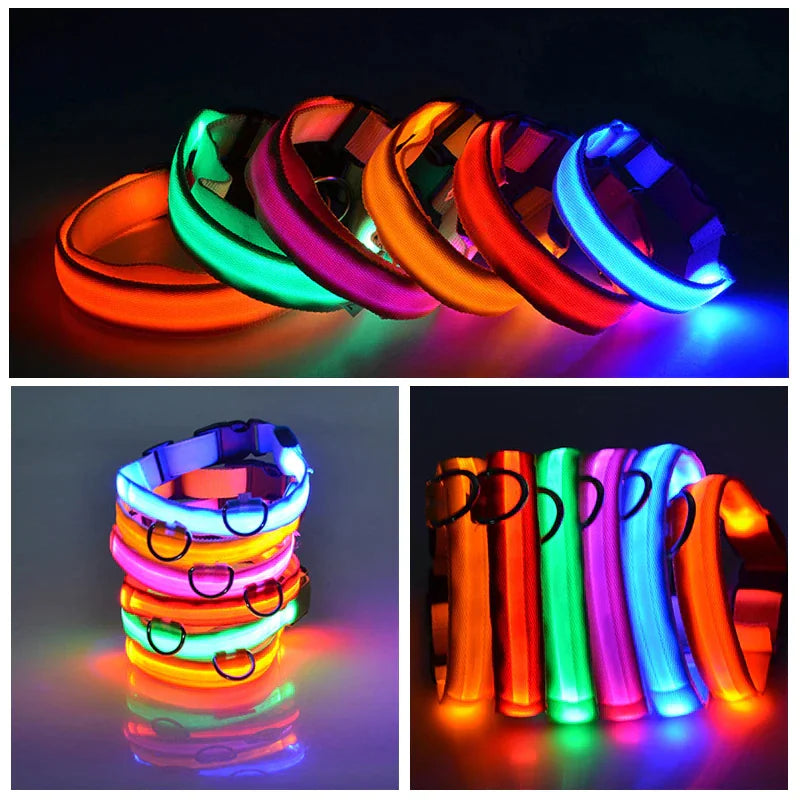 Glow Party Dog Collar | LED Light Up Glow