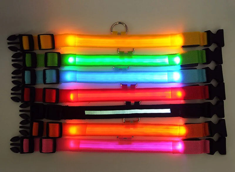 Glow Party Dog Collar | LED Light Up Glow