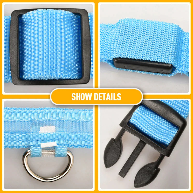Glow Party Dog Collar | LED Light Up Glow