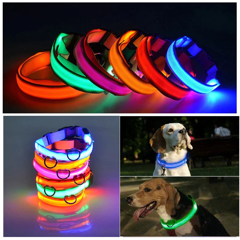 Glow Party Dog Collar | LED Light Up Glow