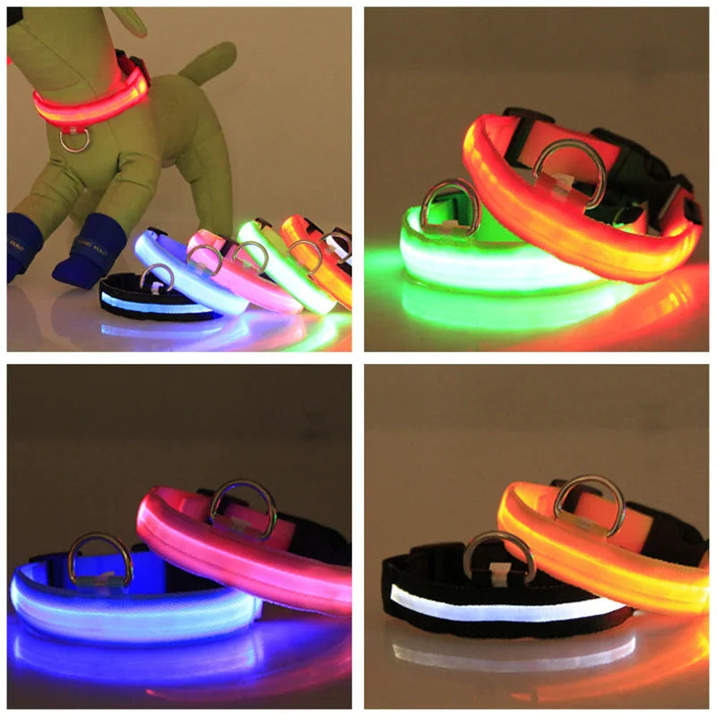 Glow Party Dog Collar | LED Light Up Glow