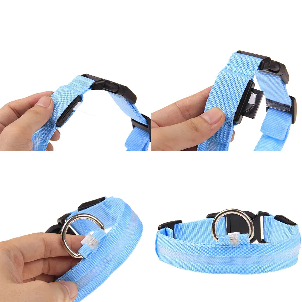 Glow Party Dog Collar | LED Light Up Glow