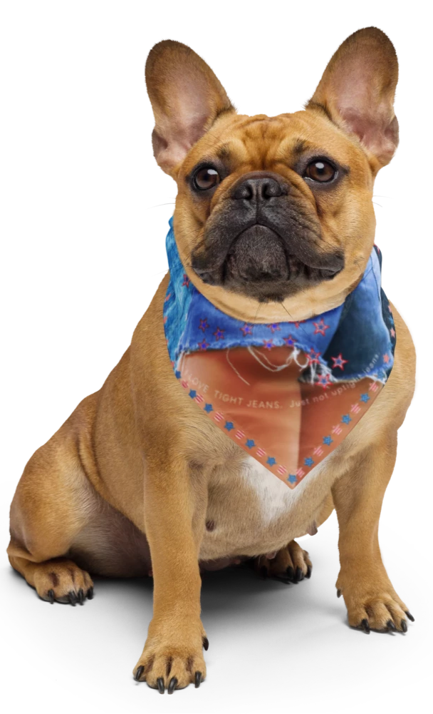Rockin my Jeans Dog Bandana