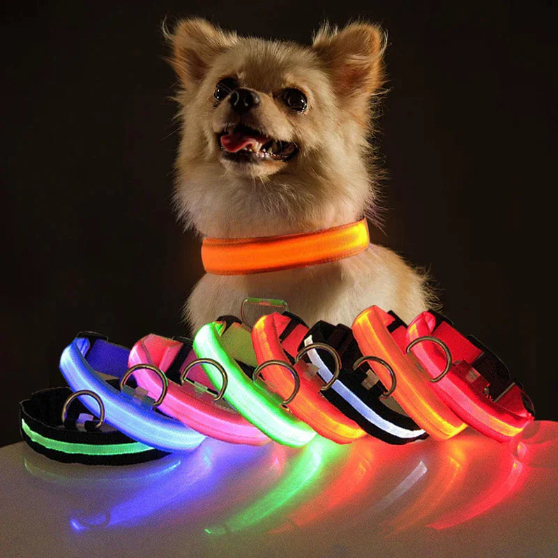 Glow Party Dog Collar | LED Light Up Glow