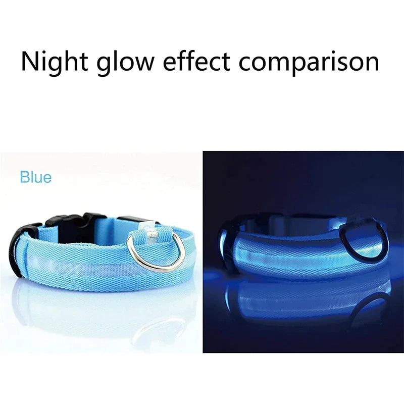Glow Party Dog Collar | LED Light Up Glow