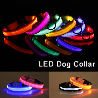 Glow Party Dog Collar | LED Light Up Glow