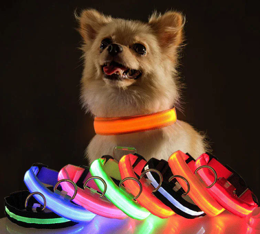 Glow Party Dog Collar | LED Light Up Glow