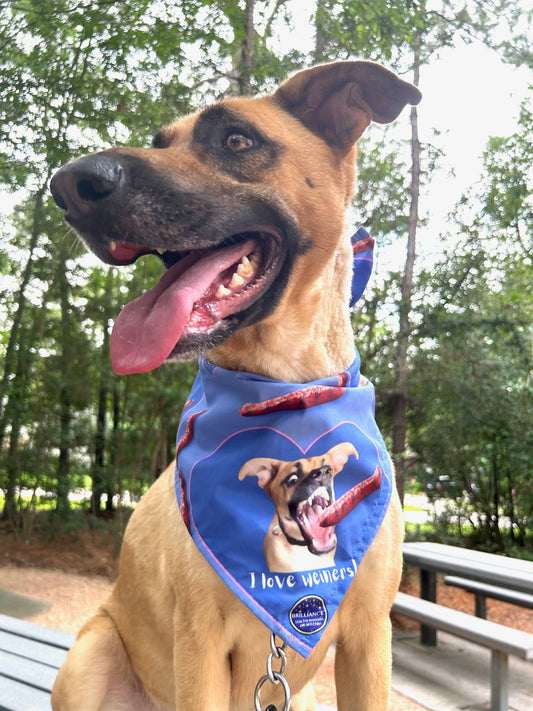 "I Love Weiners" Dog Bandana