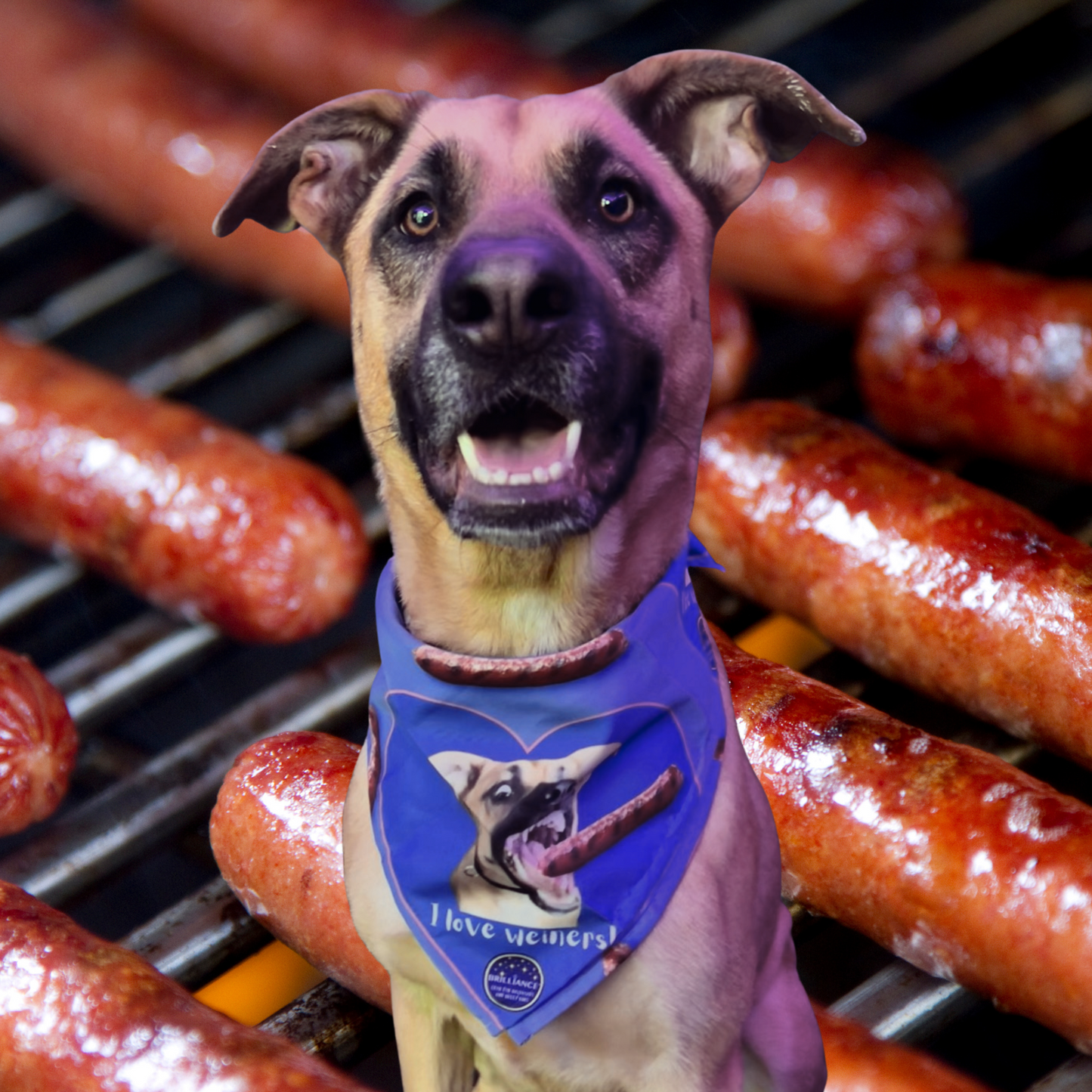 "I Love Weiners" Dog Bandana