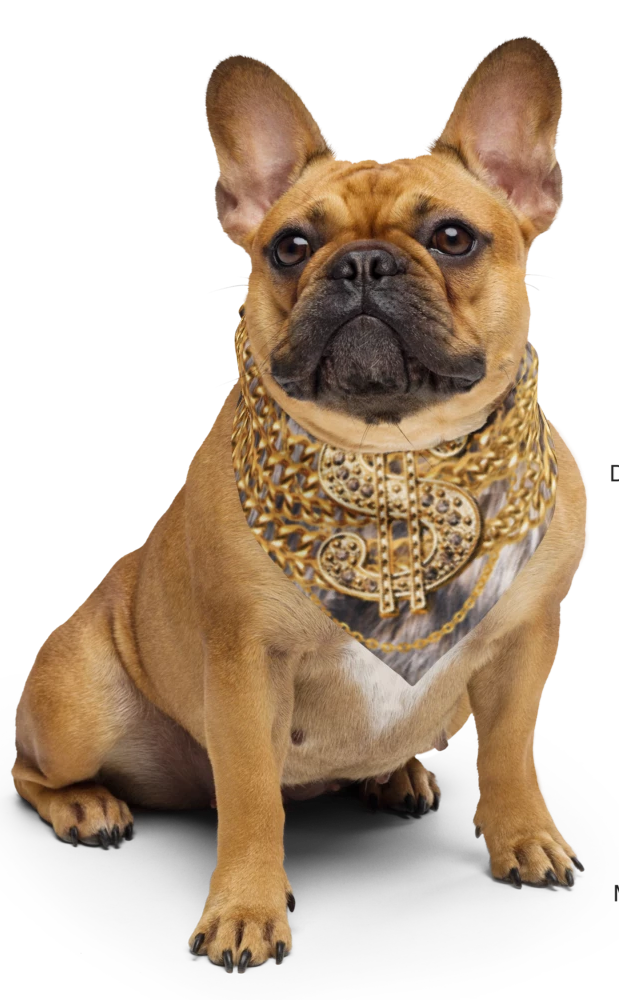 Money Dog Bandana