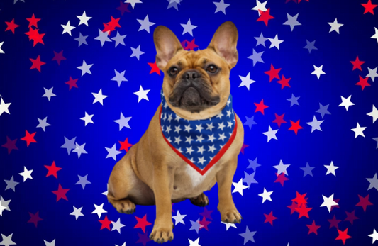 Stars Patriotic Pup Bandana