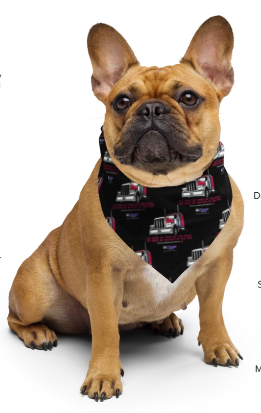 dog wearing black bandana with red truck repeating pattern.