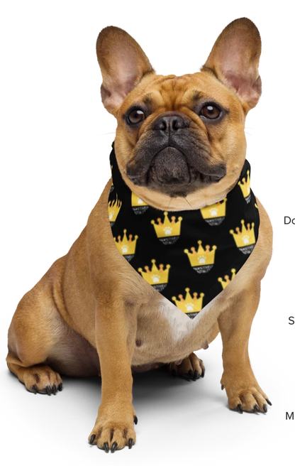 Pawsitively Royalty Black and Gold Crown Bandana