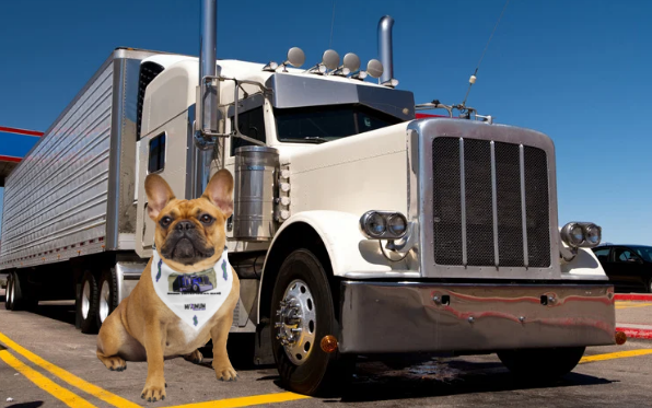 Max Truckin Gear Bookin Trucks. Stackin Buck$ Dog Bandana