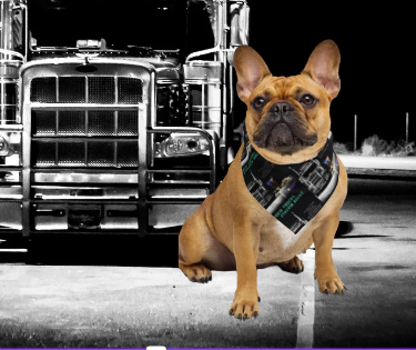 Max Truckin Gear – Ride or Die… Stackin’ Bones Bandana