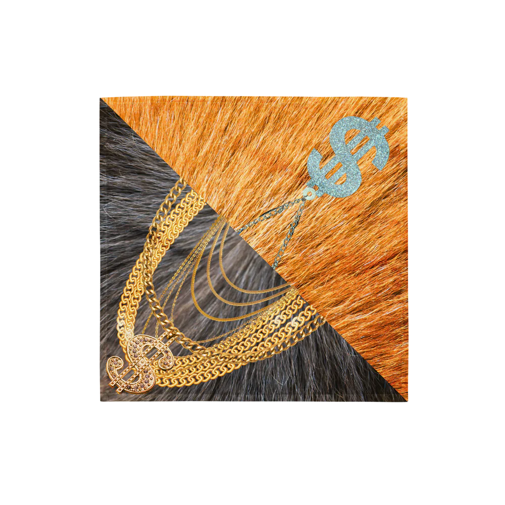 Money Dog 2-in-1 Bandana, Double the Style, Double the Swag! Dog Bandana