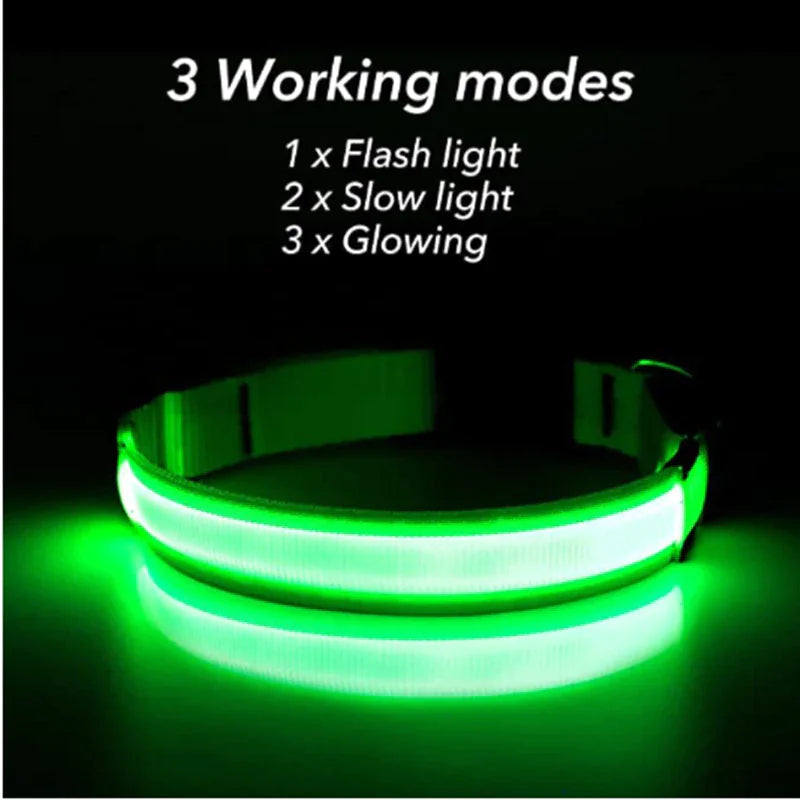 Glow Party Dog Collar | LED Light Up Glow