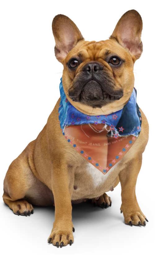 Rockin my Jeans Dog Bandana